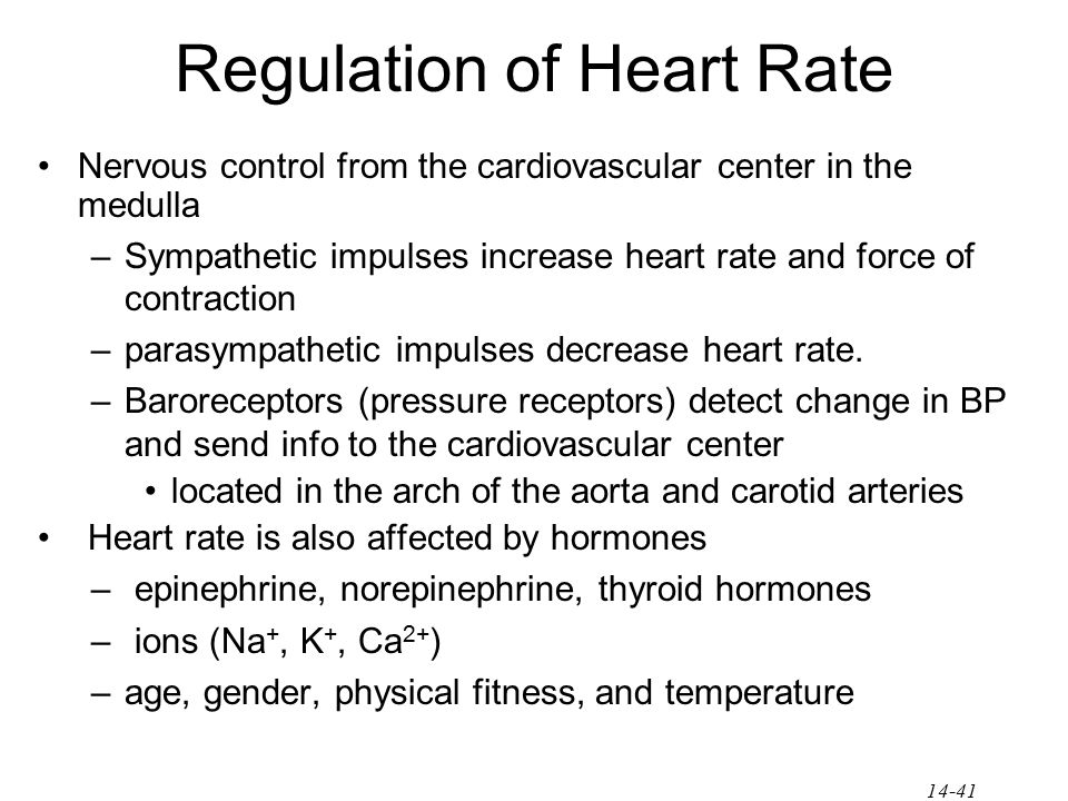 Regulation of Heart Rate