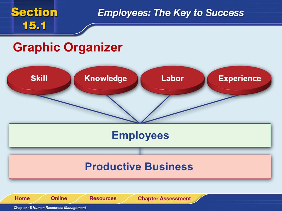 Graphic Organizer Employees Productive Business Skill Knowledge Labor