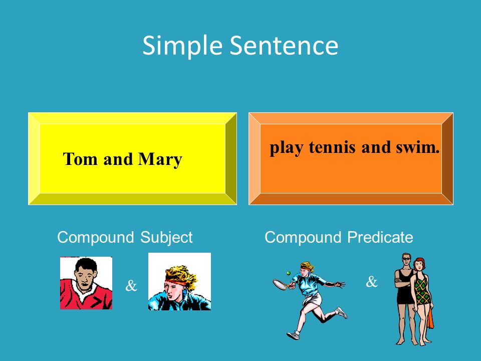Simple Sentence play tennis and swim. Tom and Mary