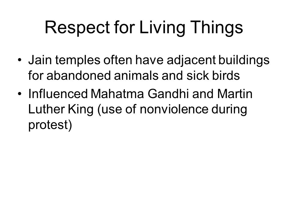 Respect for Living Things
