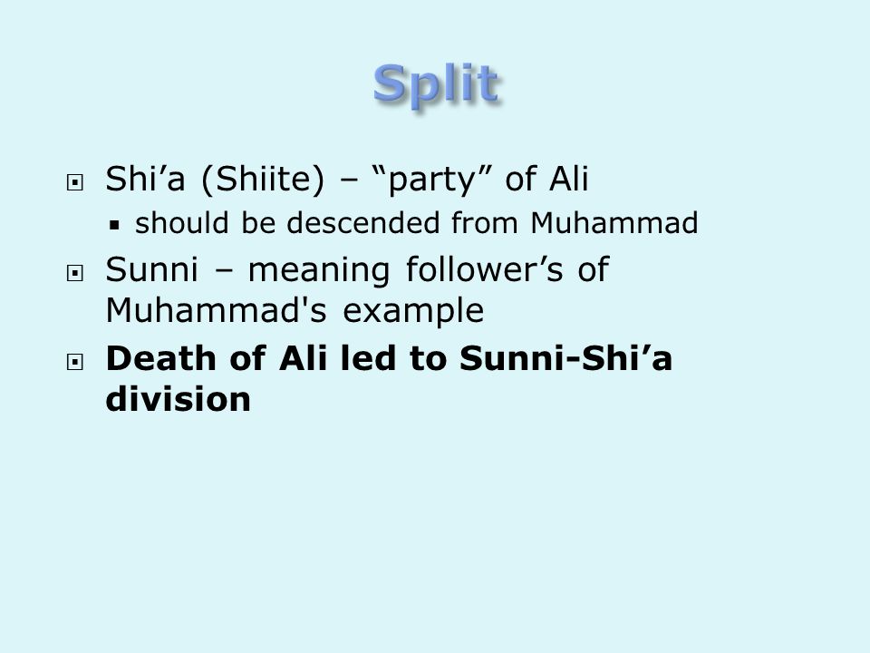 Split Shi’a (Shiite) – party of Ali