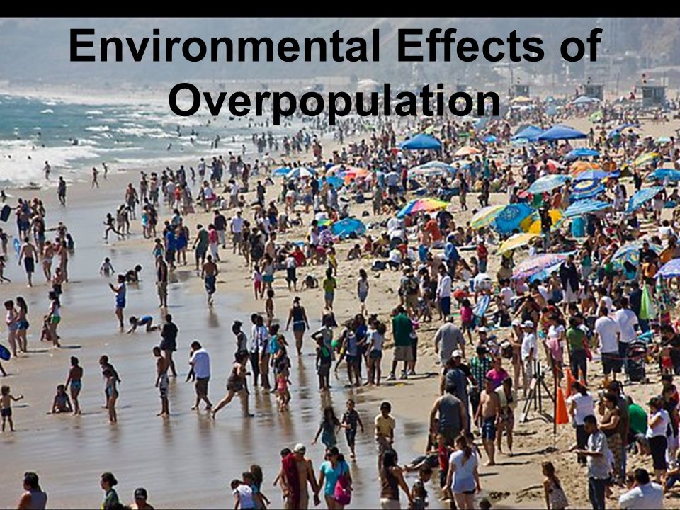 Environmental Effects of Overpopulation