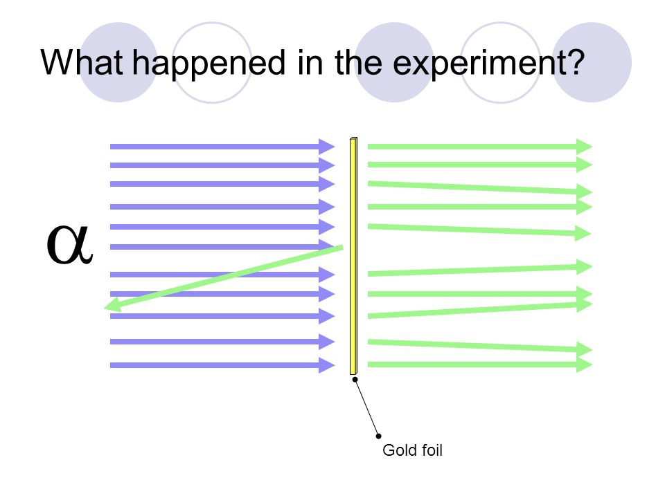 What happened in the experiment