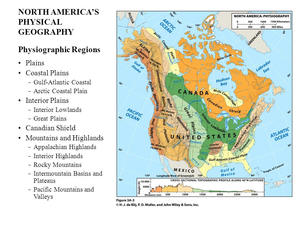 North America Defining The Realm In This Chapter Ppt Video