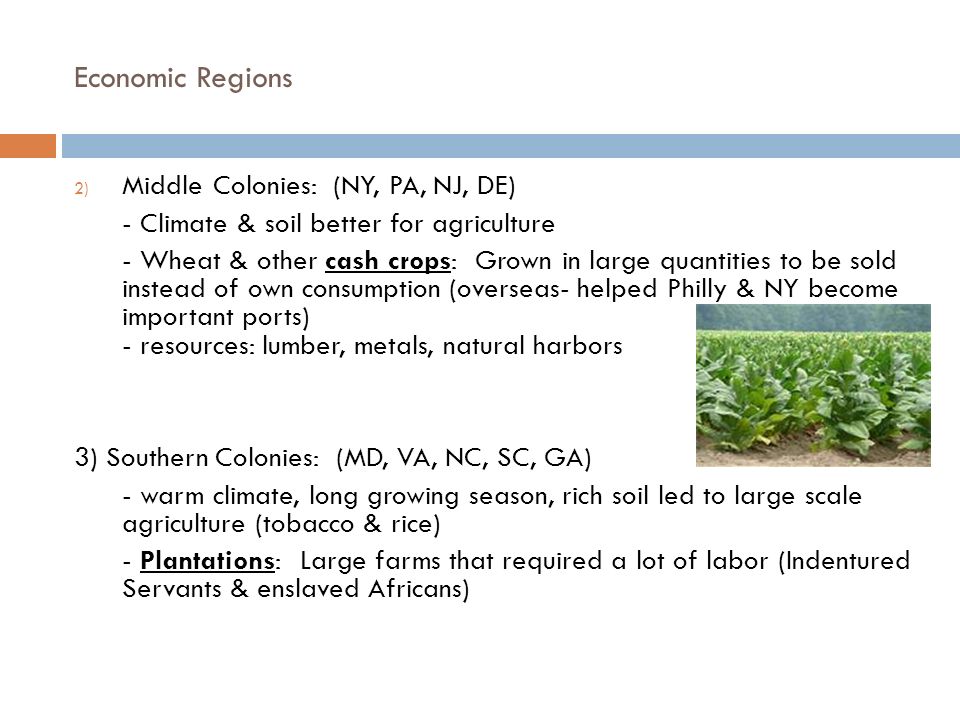 Economic Regions Middle Colonies: (NY, PA, NJ, DE)