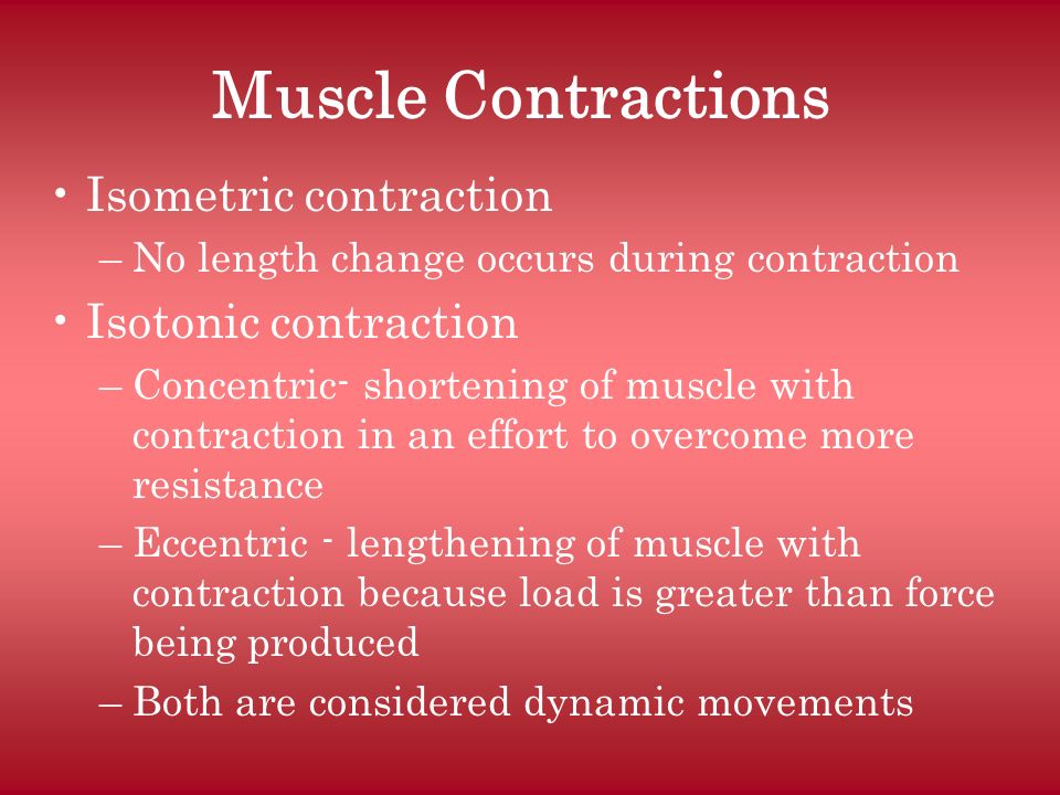 Muscle Contractions Isometric contraction Isotonic contraction