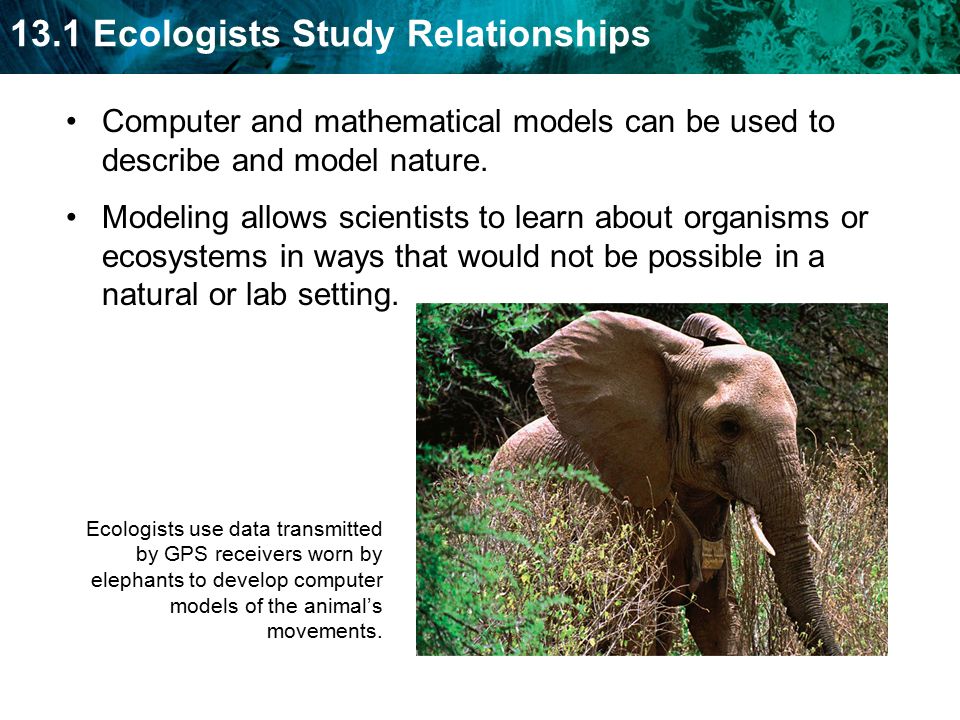 Computer and mathematical models can be used to describe and model nature.