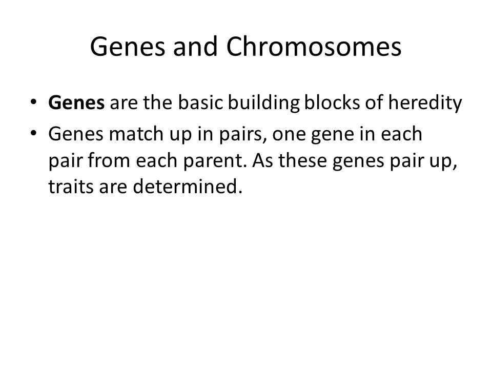 Genes and Chromosomes Genes are the basic building blocks of heredity