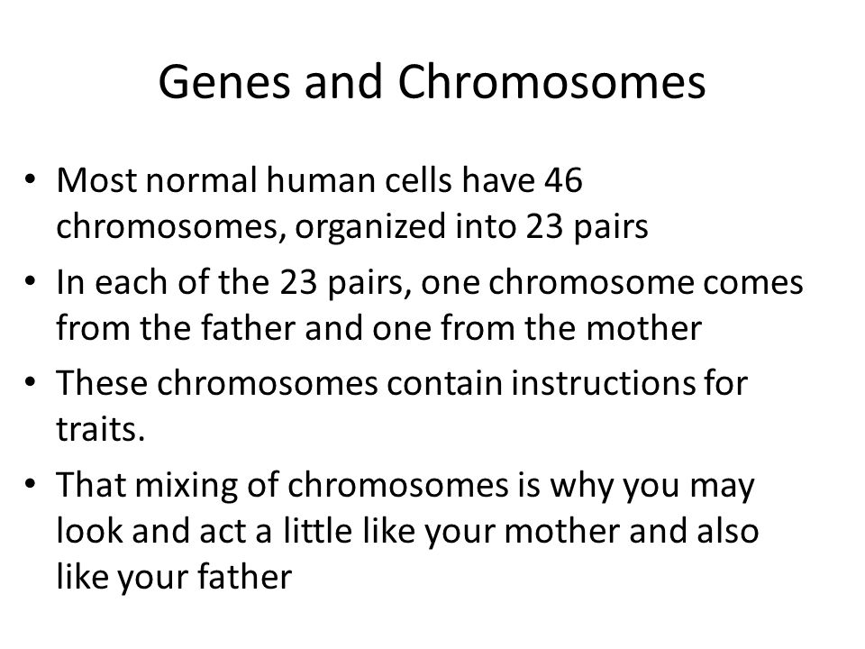 Genes and Chromosomes Most normal human cells have 46 chromosomes, organized into 23 pairs.
