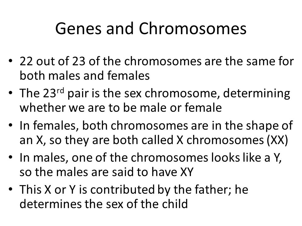 Genes and Chromosomes 22 out of 23 of the chromosomes are the same for both males and females.