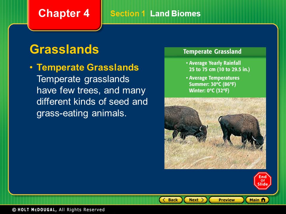 Section 1 Land Biomes Grasslands.