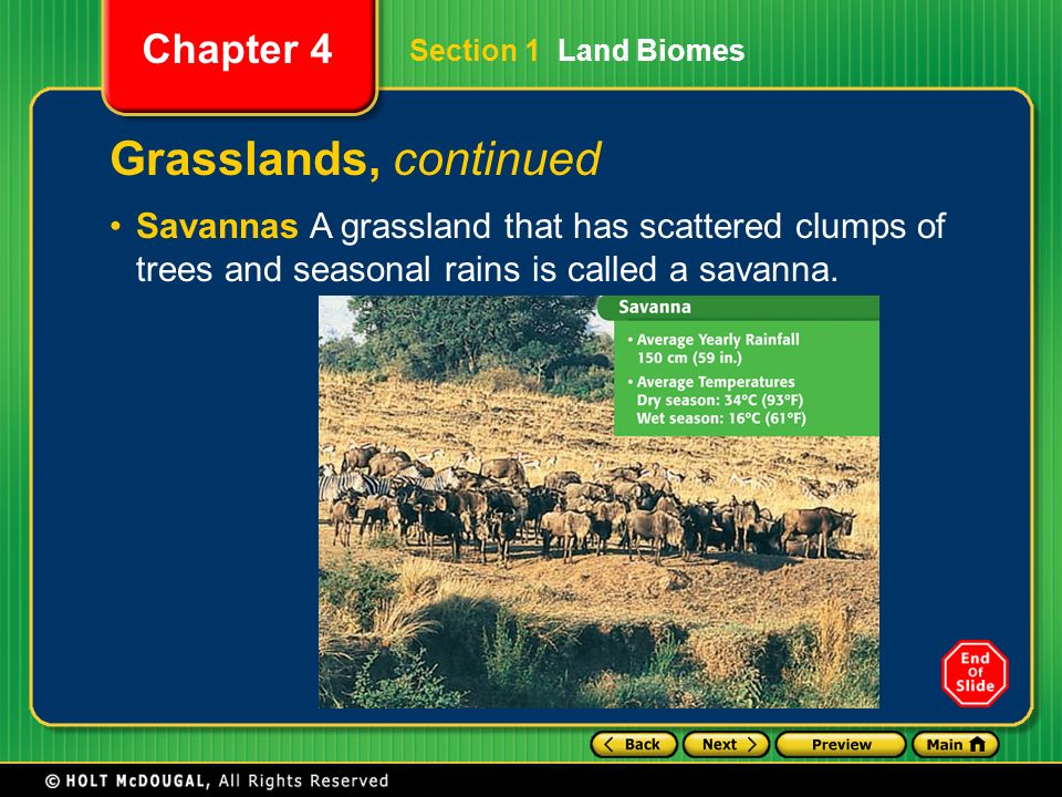 Section 1 Land Biomes Grasslands, continued.