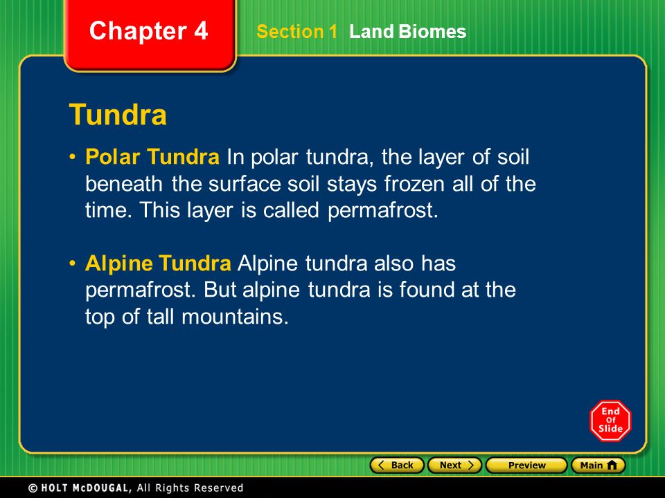 Section 1 Land Biomes Tundra.