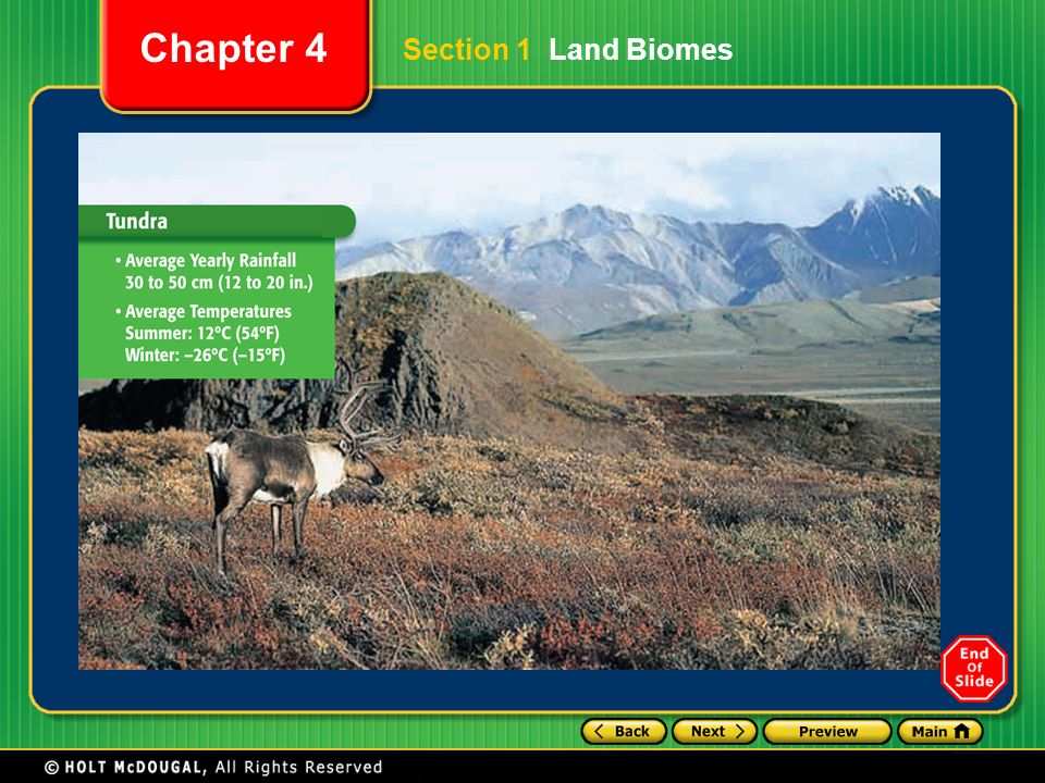 Section 1 Land Biomes