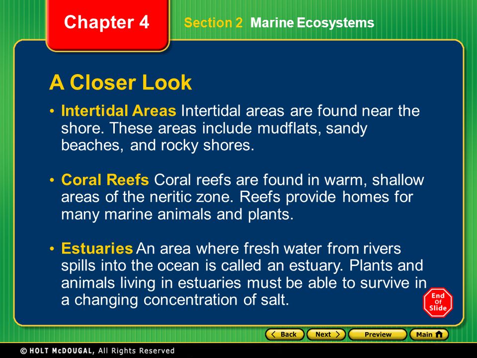 Section 2 Marine Ecosystems