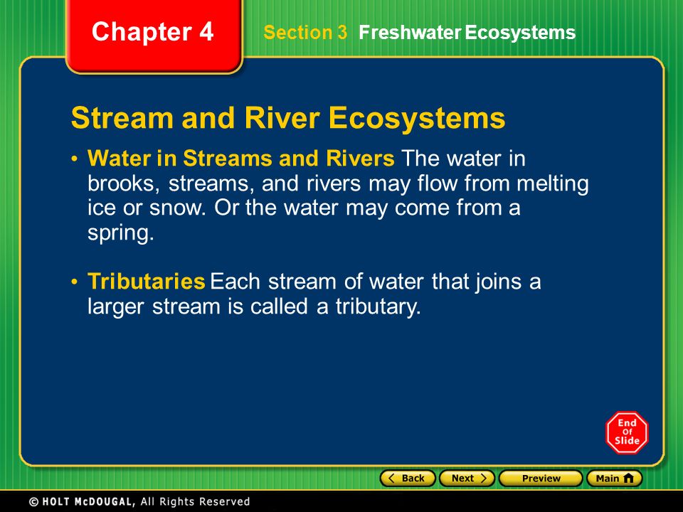 Stream and River Ecosystems