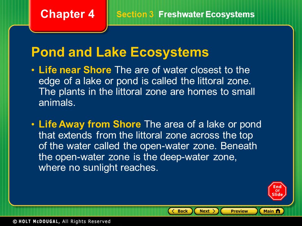 Pond and Lake Ecosystems