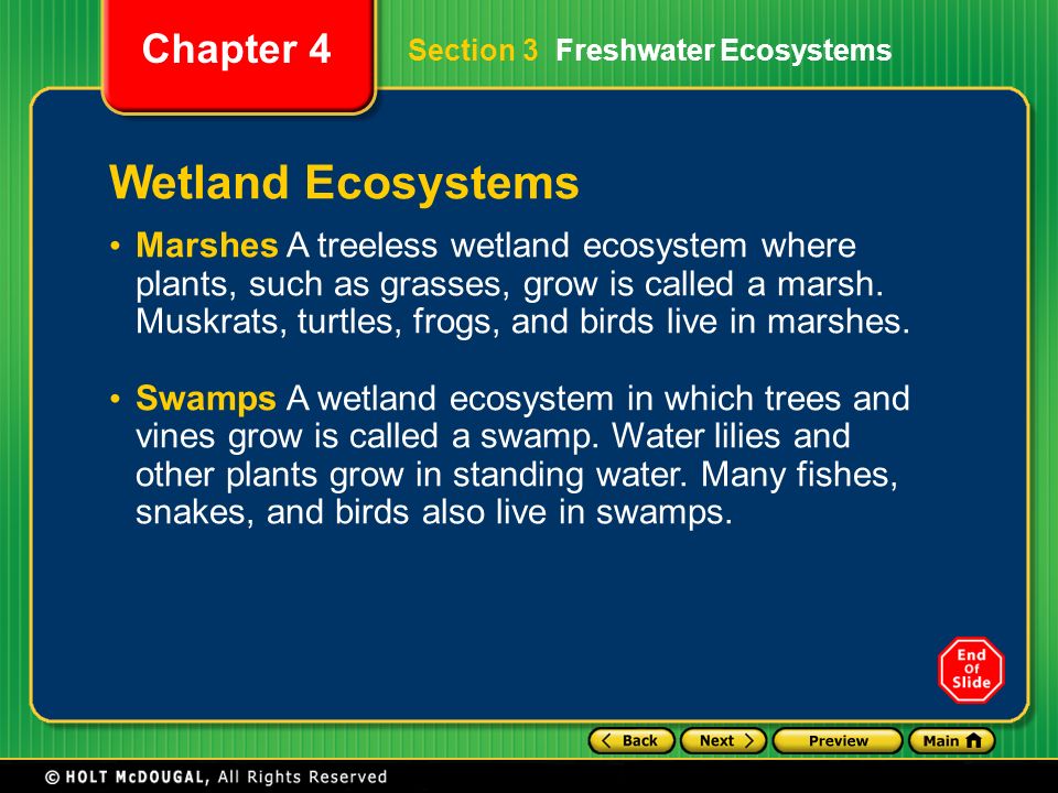 Section 3 Freshwater Ecosystems