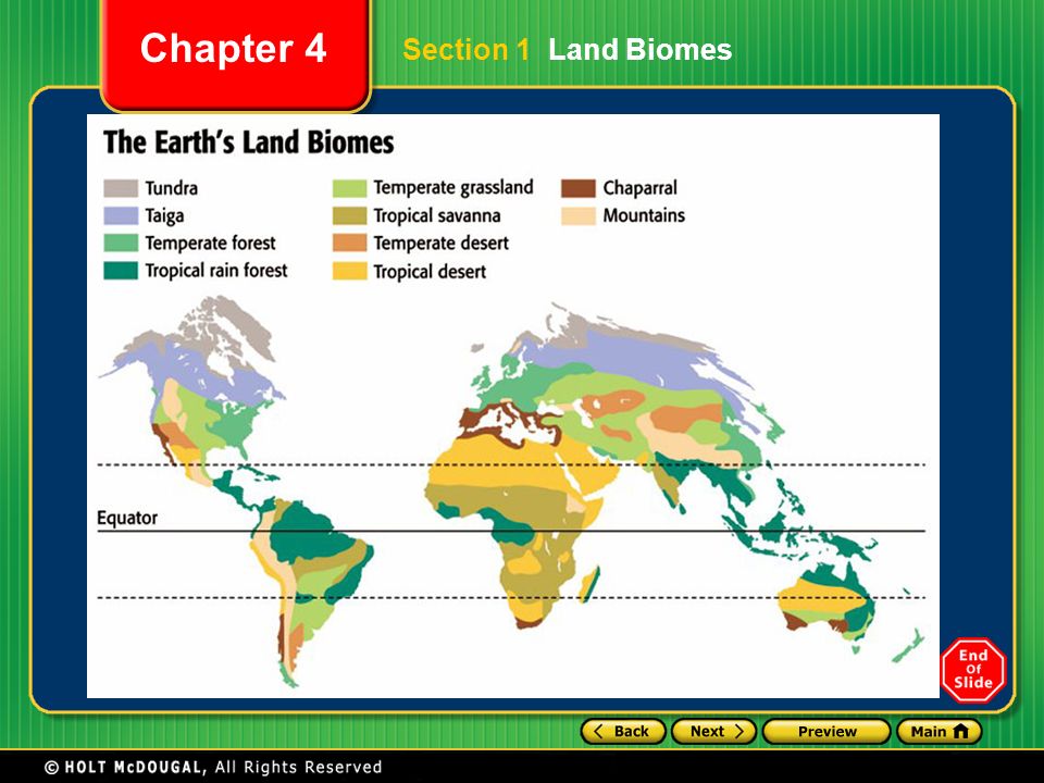 Section 1 Land Biomes