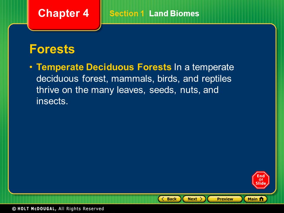 Section 1 Land Biomes Forests.