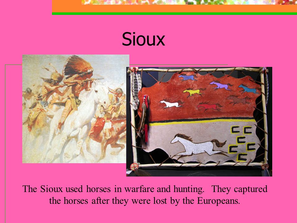 Sioux The Sioux used horses in warfare and hunting.