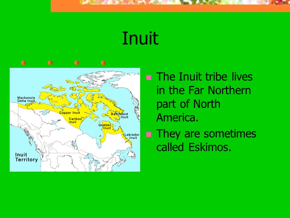 Inuit The Inuit tribe lives in the Far Northern part of North America.
