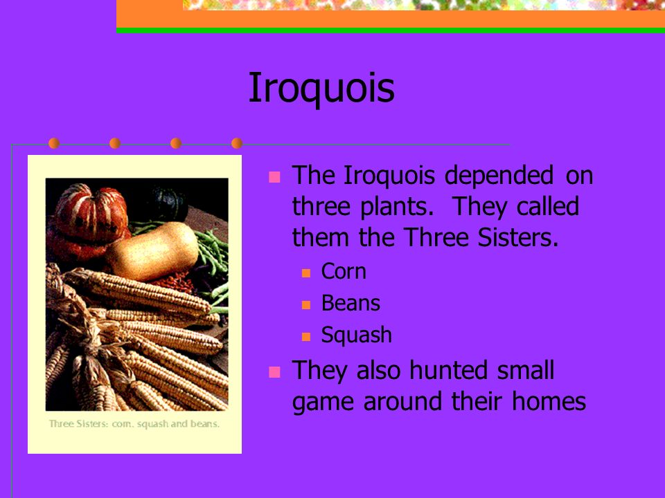 Iroquois The Iroquois depended on three plants. They called them the Three Sisters. Corn. Beans.