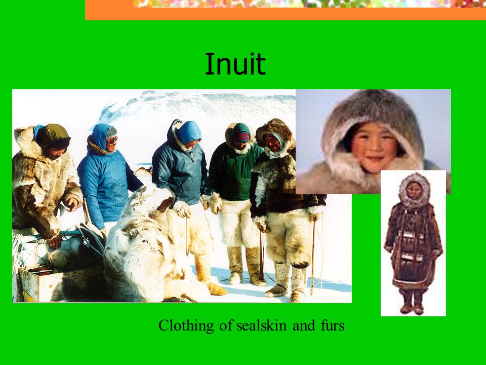 Clothing of sealskin and furs
