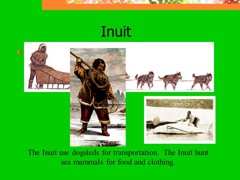 Inuit The Inuit use dogsleds for transportation. The Inuit hunt sea mammals for food and clothing.