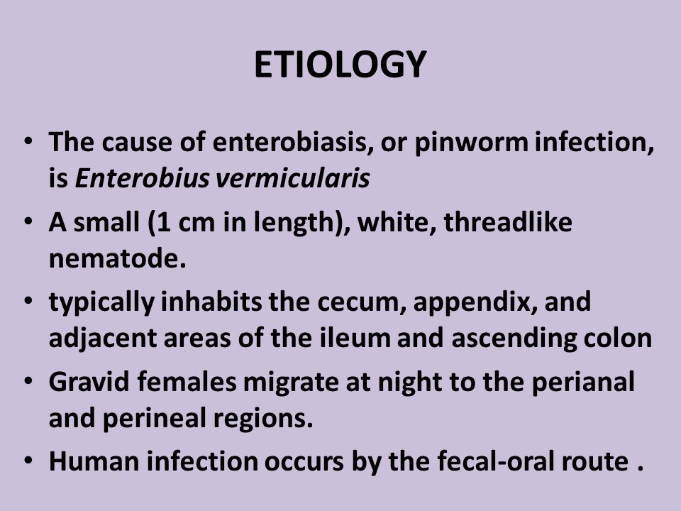 Enterobius vermicularis epidemiology