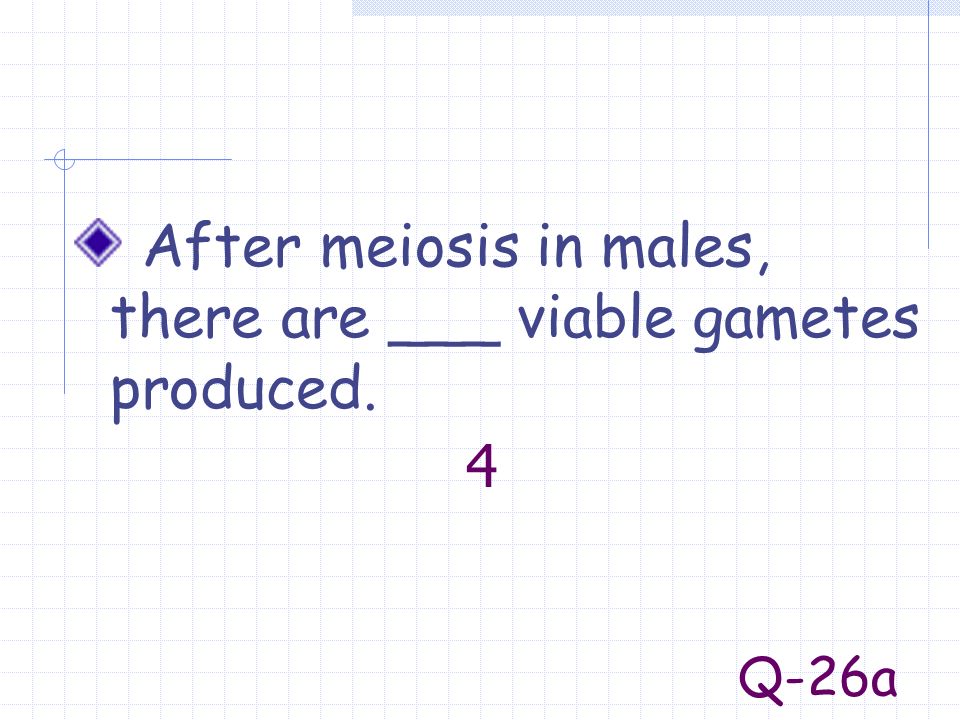 After meiosis in males, there are ___ viable gametes produced.