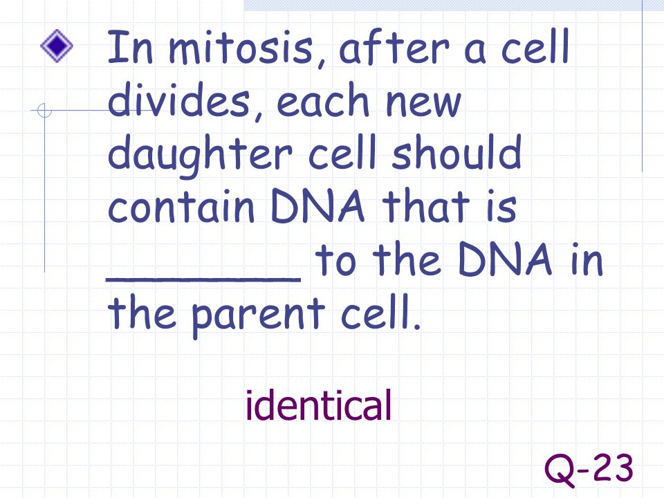 In mitosis, after a cell divides, each new daughter cell should contain DNA that is _______ to the DNA in the parent cell.