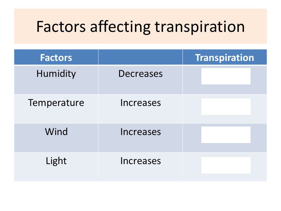 Transpiration Mechanism Types Factors Affecting Transpiration Biological Significance And Disadvantages Online Science Notes
