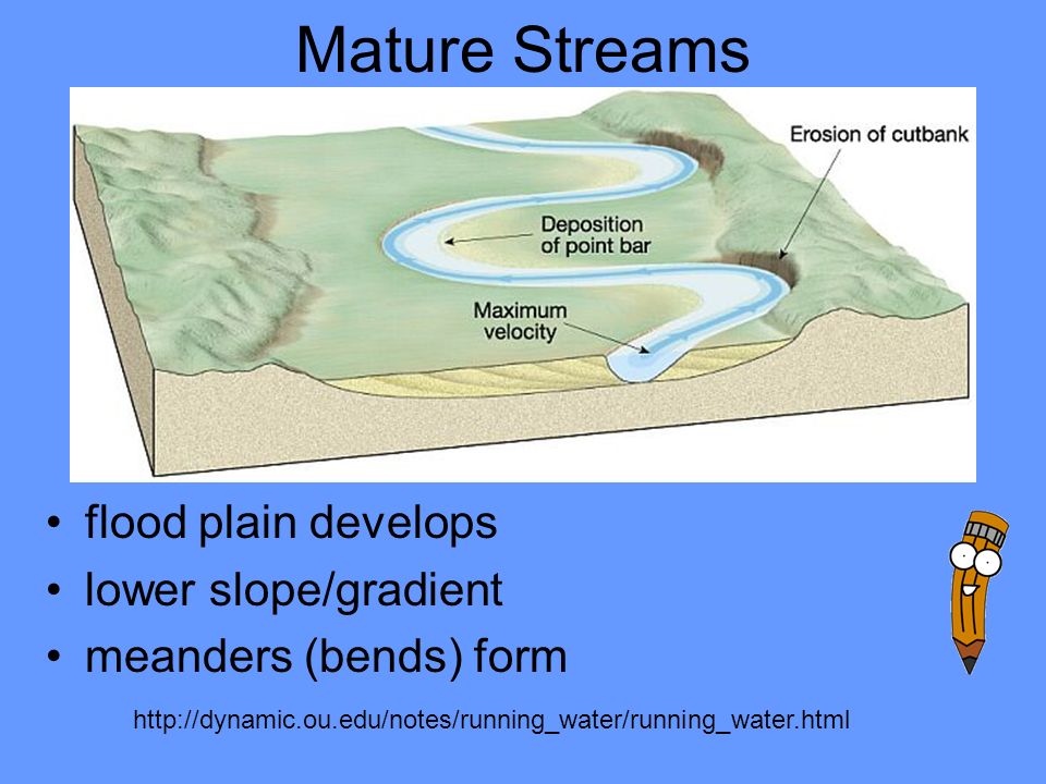 Mature Streams flood plain develops lower slope/gradient