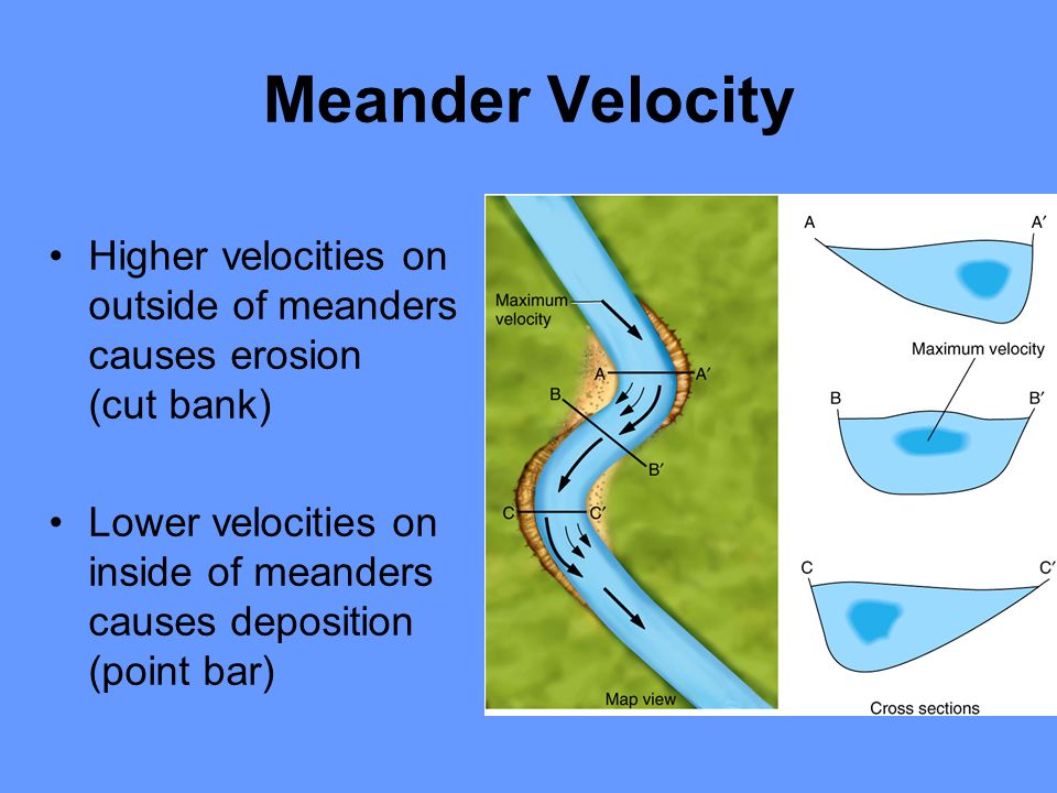 Meander Velocity Fig Higher velocities on outside of meanders causes erosion (cut bank)