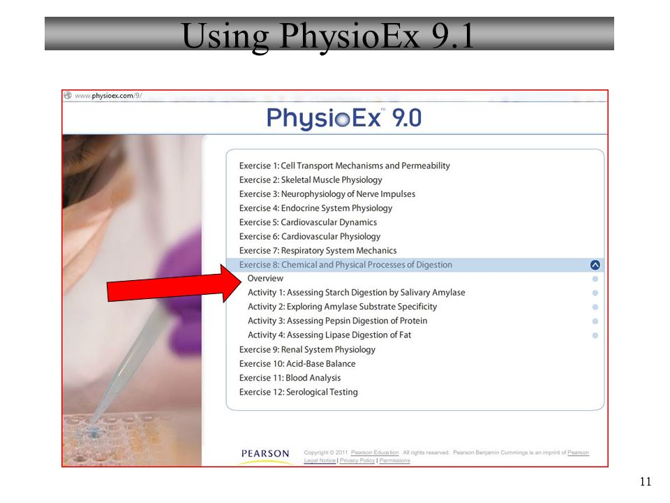 physioex 9.0 exercise 12 activity 2 answers