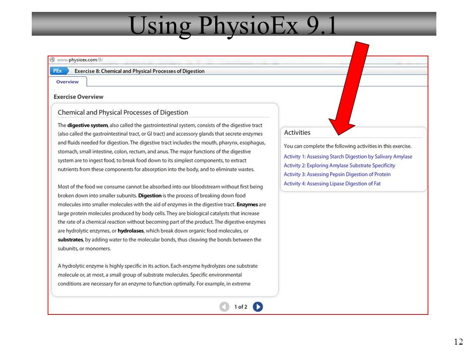 physioex 9.1 exercise 9 activity 3