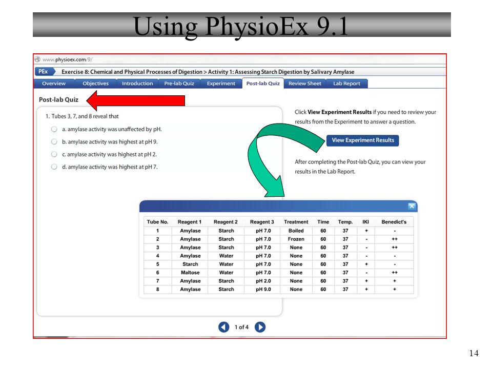 physioex 9.1 exercise 9 answers