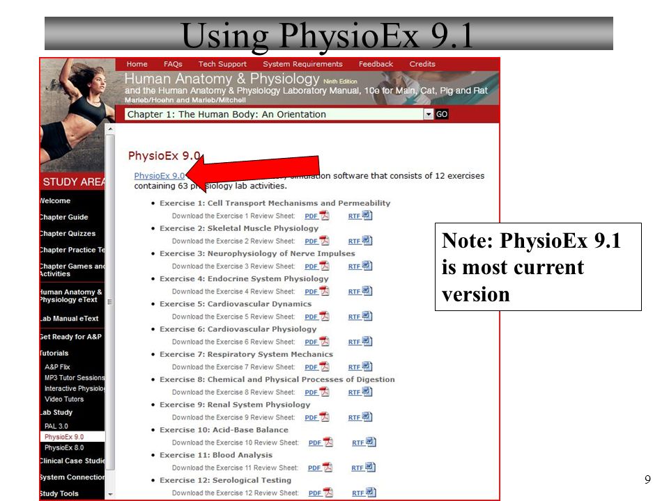 physioex exercise 12 serological testing answers