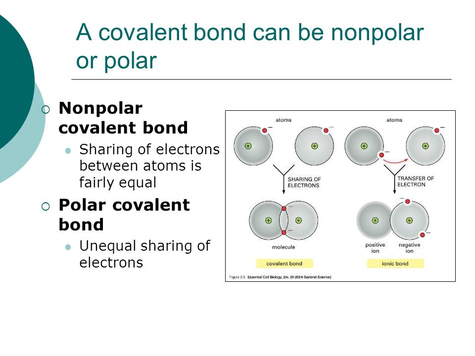 A covalent bond can be nonpolar or polar