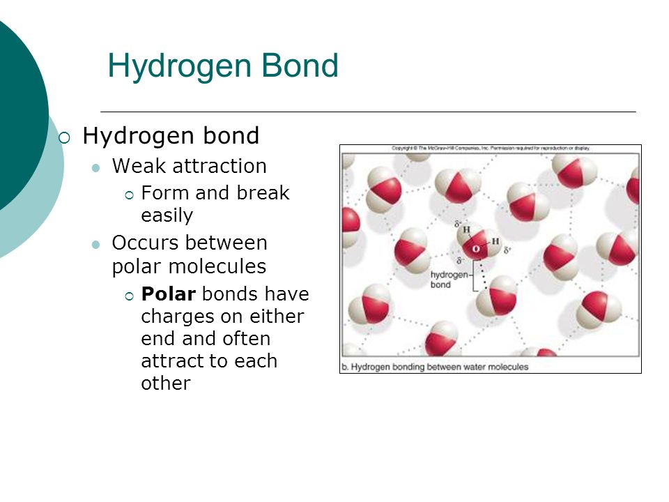 Hydrogen Bond Hydrogen bond Weak attraction