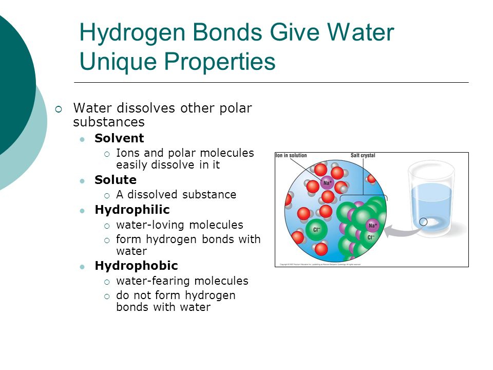 Hydrogen Bonds Give Water Unique Properties