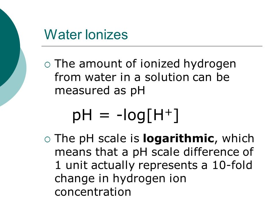 pH = -log[H+] Water Ionizes