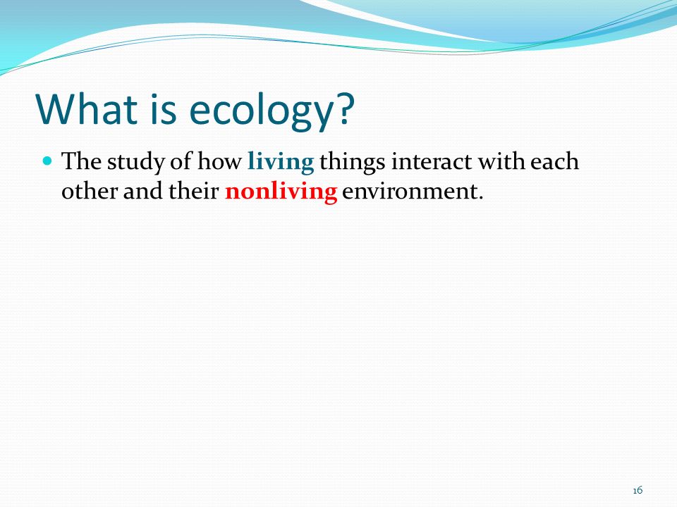 What is ecology.
