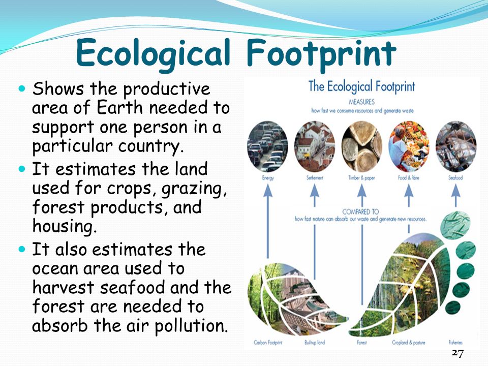 Ecological Footprint Shows the productive area of Earth needed to support one person in a particular country.