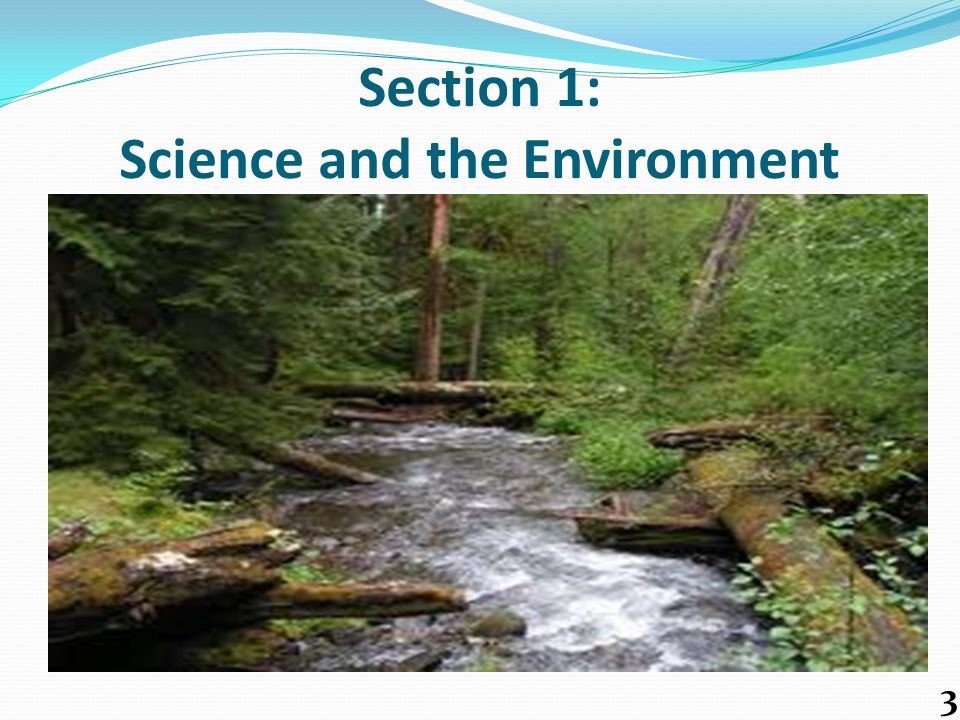 Section 1: Science and the Environment