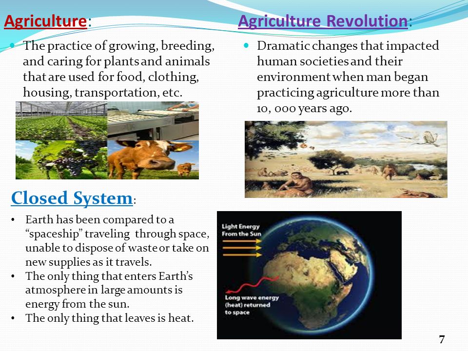 Agriculture: Agriculture Revolution: