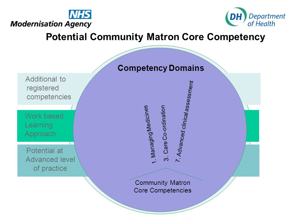 Potential Community Matron Core Competency
