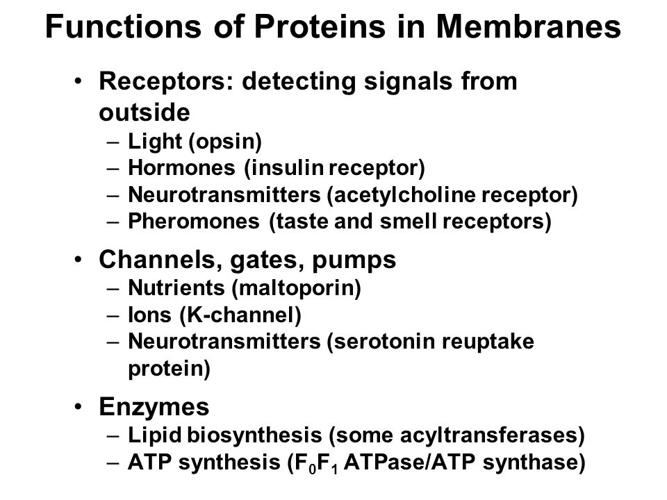 Functions of Proteins in Membranes