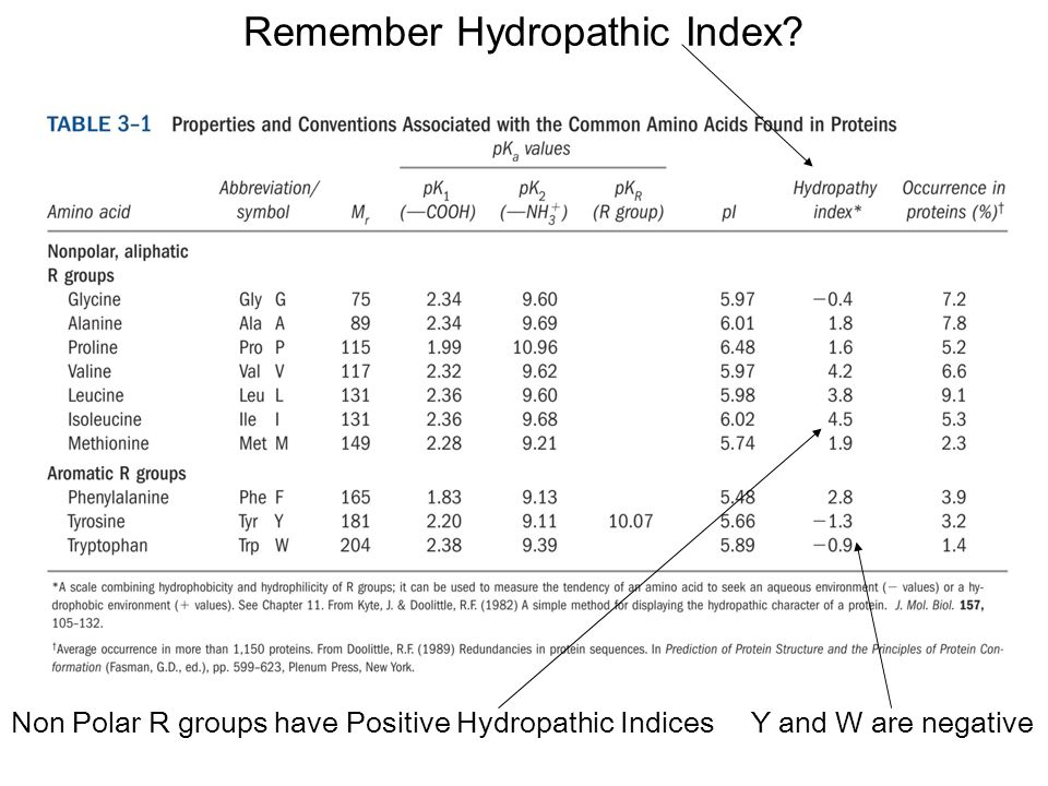 Remember Hydropathic Index